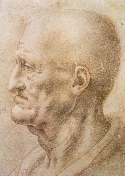 Profile of an old man by Leonardo da Vinci